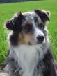 März 2004